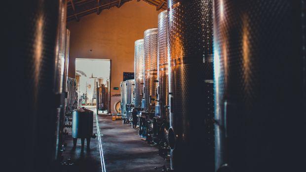 Viña Casa Marín - Image 3